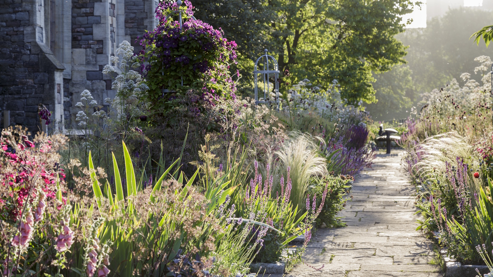 Garden border and old stone path in summer, with pink salvias and fuchsias and ornamental grasses 