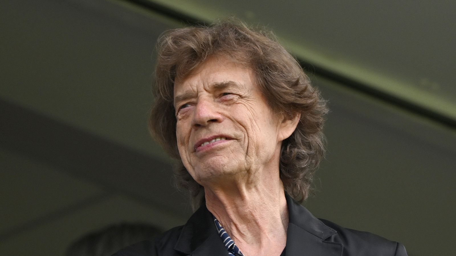  mick jagger on a green background