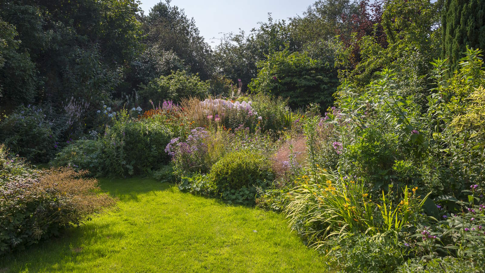 A cottage garden border featuring shrubs and perennials